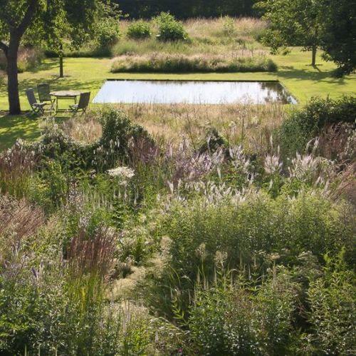 Hill rose copy 3 / page 5 / image 1